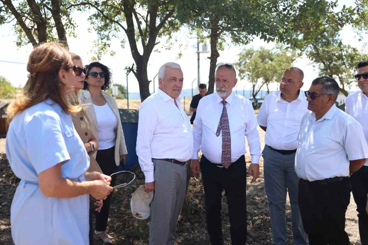 Nilüfer'de sahipsiz hayvanlar için Umut Ağacı merkezi açılıyor