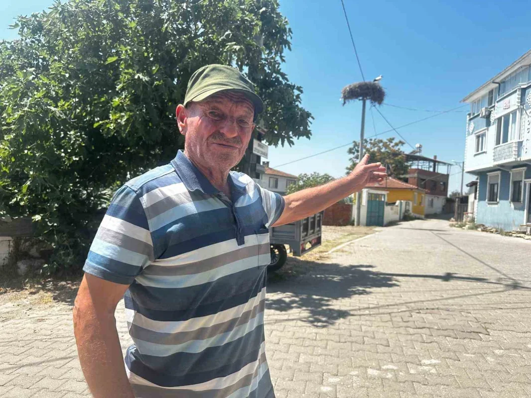 Yaren leylek göçe hazırlanıyor: Adem Yılmaz'la veda vakti