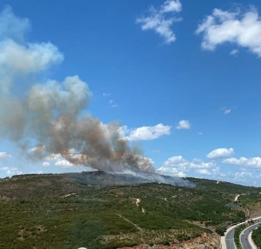 Kocaeli Gebze'de orman yangını 1,5 saatte söndürüldü