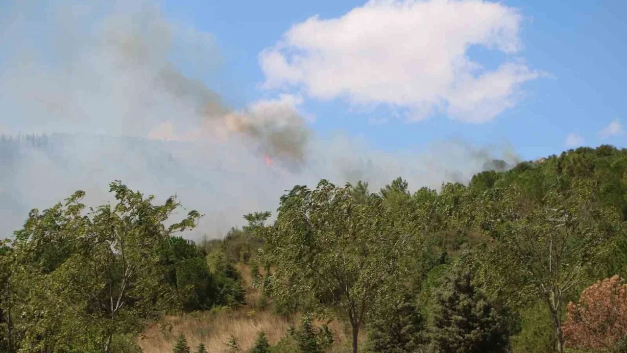 Kocaeli Gebze'de orman yangını 1,5 saatte söndürüldü