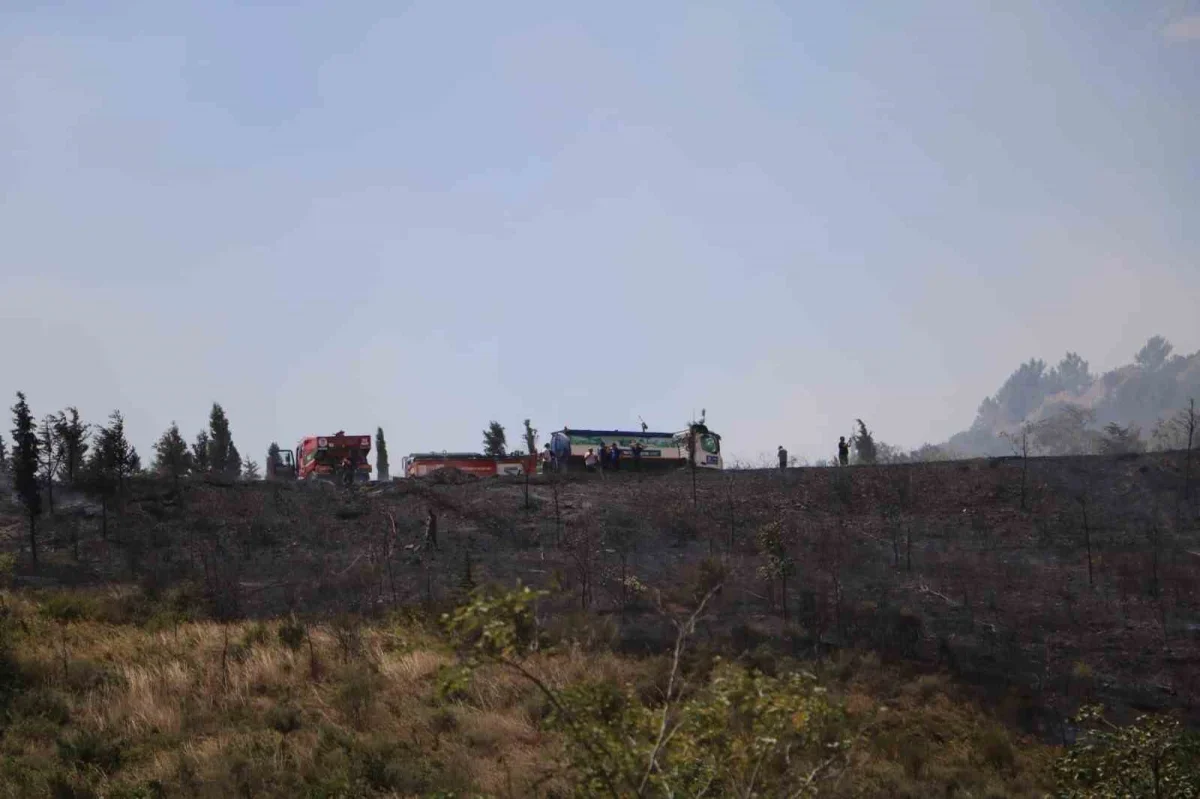 Kocaeli Gebze'de orman yangını 1,5 saatte söndürüldü