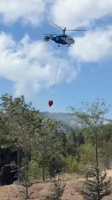 Kocaeli Gebze'de orman yangını 1,5 saatte söndürüldü
