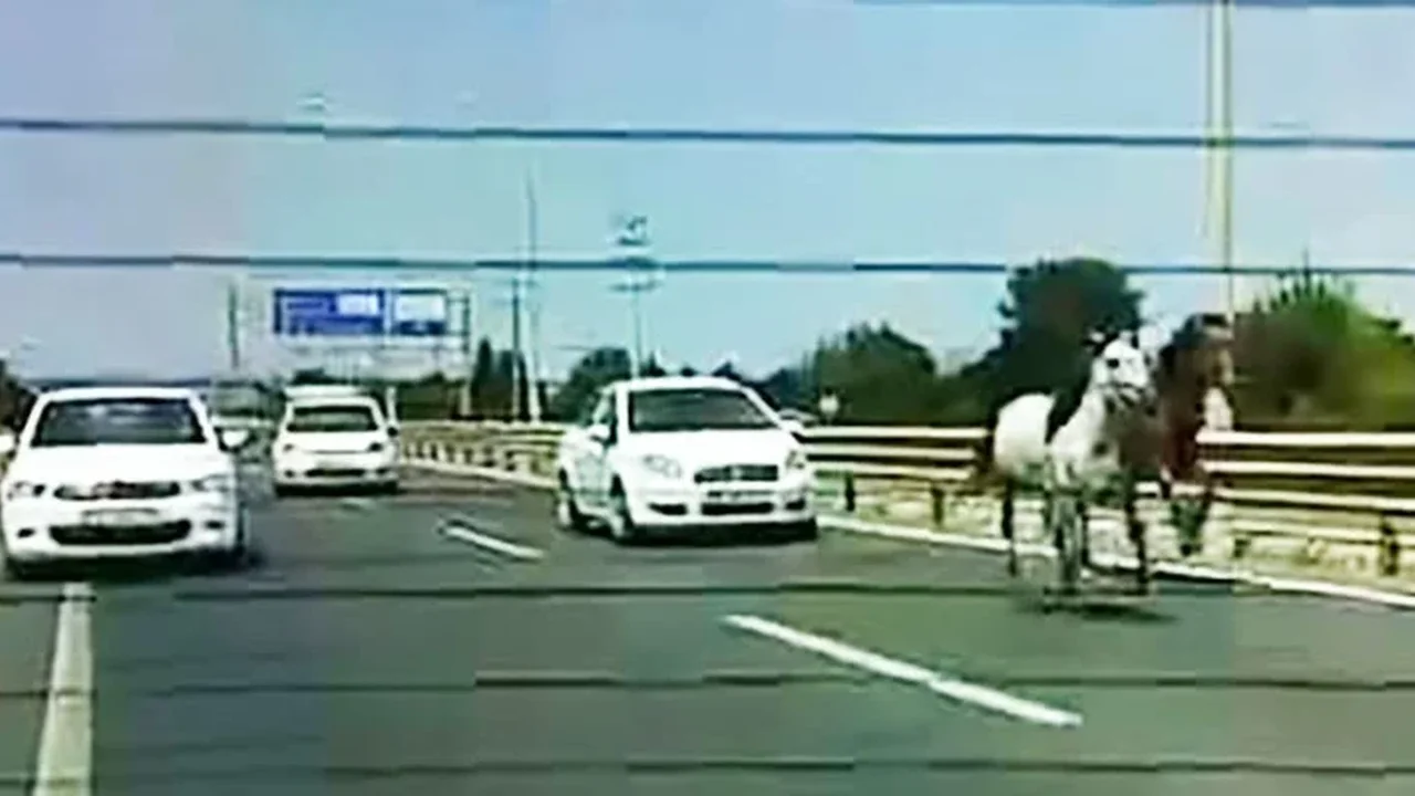 İnegöl'de başıboş atlar trafikte araçlarla yarıştı
