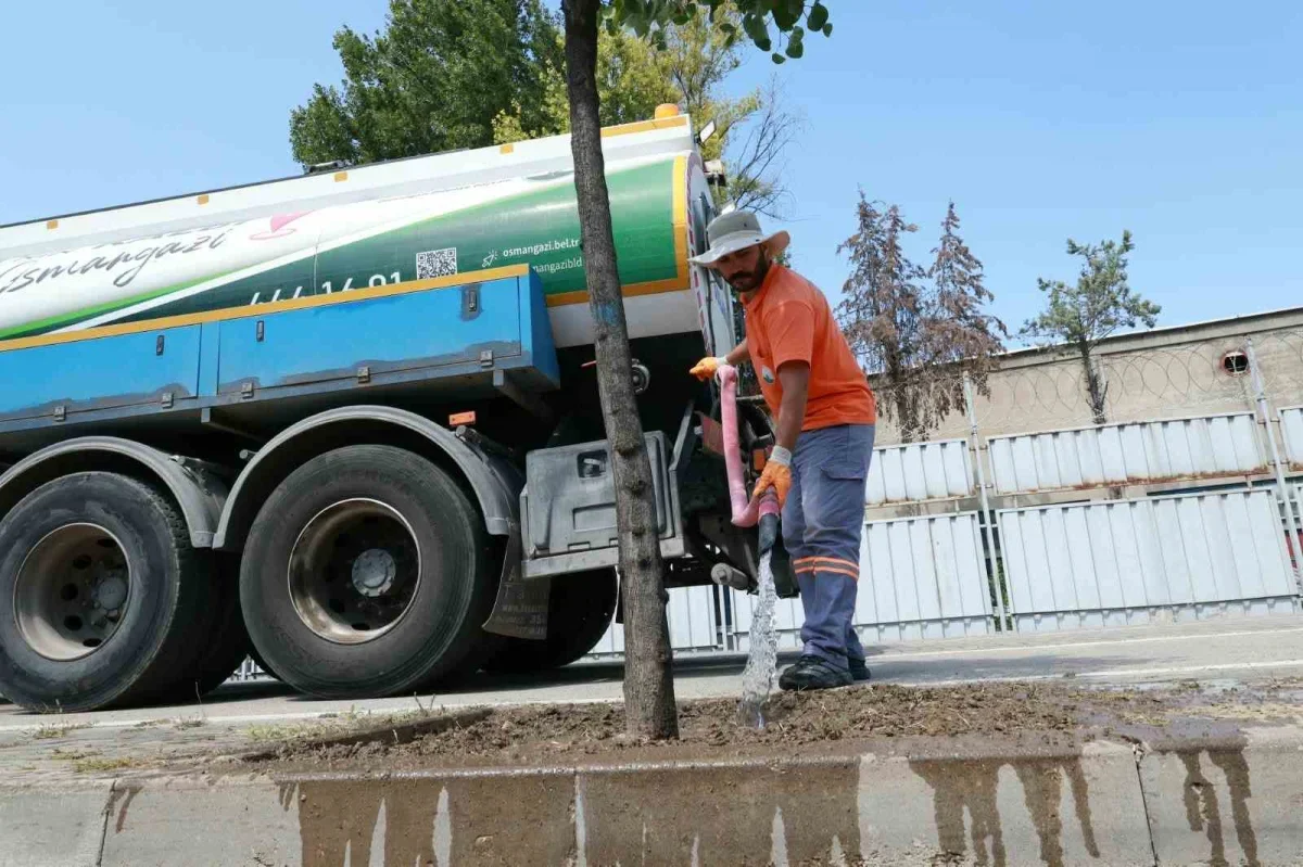 Osmangazi Belediyesi 58 noktada yeşil alanları suluyor
