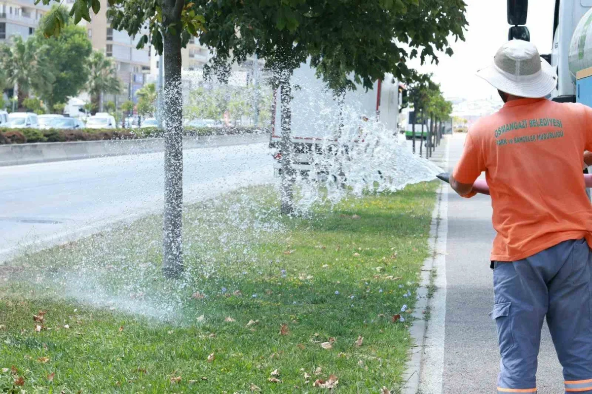 Osmangazi Belediyesi 58 noktada yeşil alanları suluyor