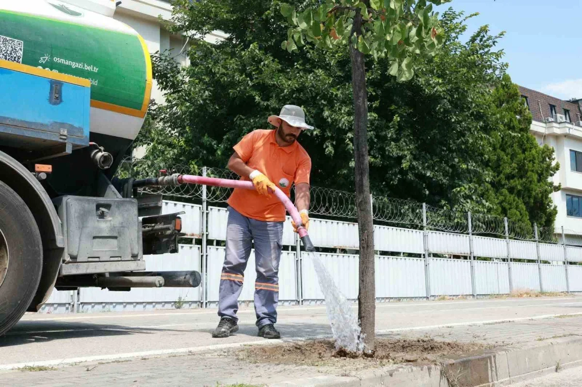 Osmangazi Belediyesi 58 noktada yeşil alanları suluyor