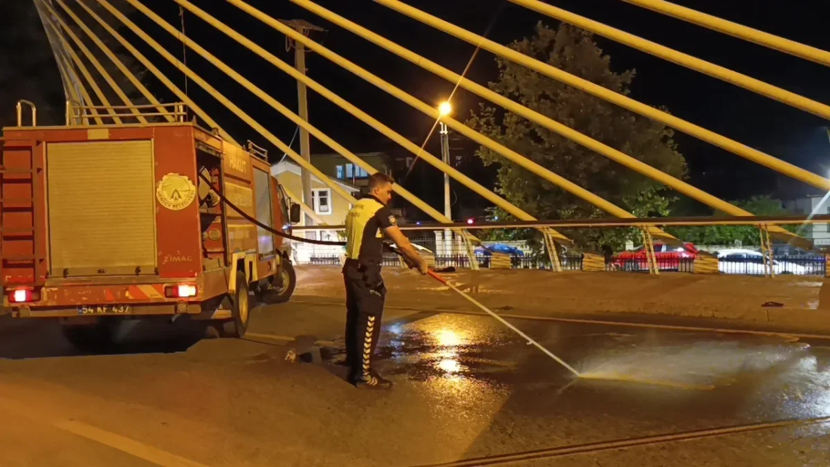 Sakarya Hendek'te otomobilin çarptığı Emine Çolak öldü