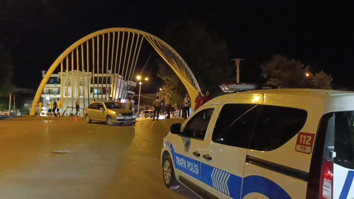 Sakarya Hendek'te otomobilin çarptığı Emine Çolak öldü