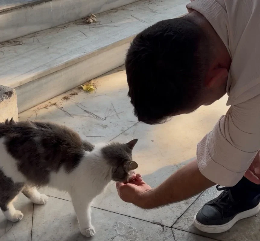 AK Parti Osmangazi Gençlik Kolları'ndan Hamzabey Külliyesi'ne vefa