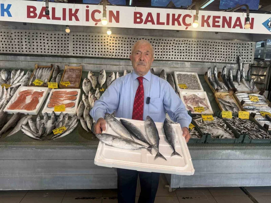1 Eylül Öncesi Palamut Bolluğu Sinyali Verdi