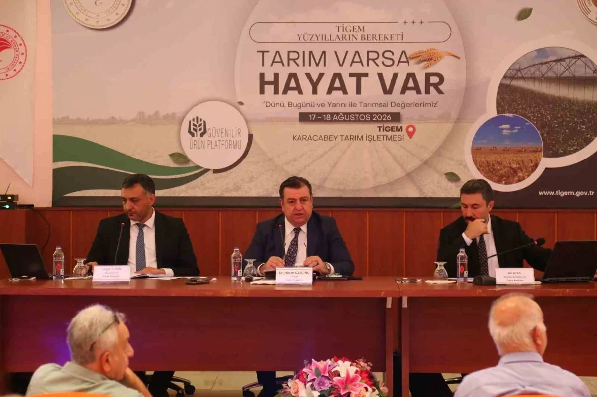 TİGEM 2026 hedefini açıkladı: 233 bin ton sertifikalı tohum