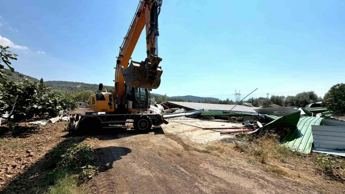 Osmangazi'de zeytinliğe yapılan kaçak depo iş makinesiyle yıkıldı