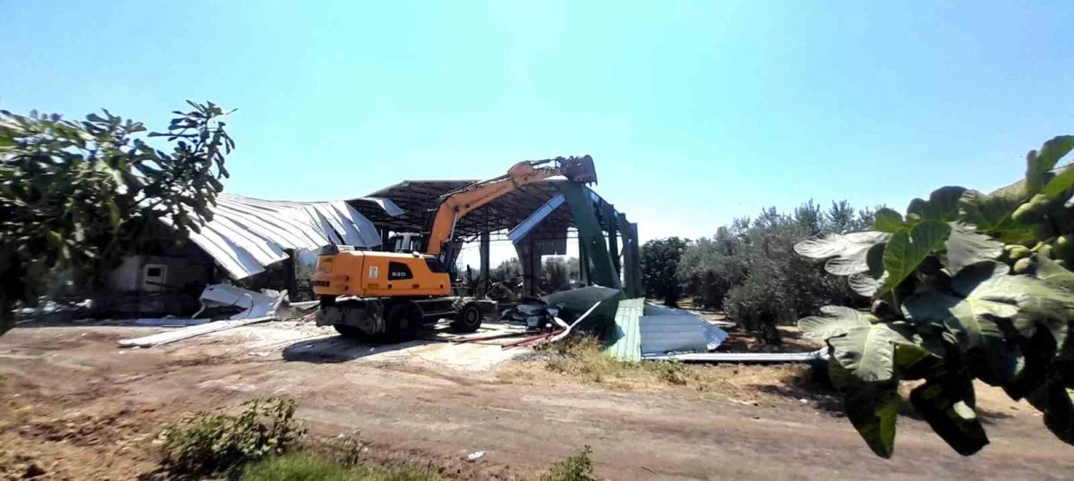 Osmangazi'de zeytinliğe yapılan kaçak depo iş makinesiyle yıkıldı