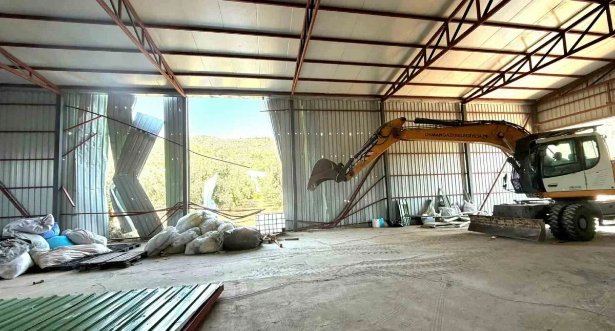 Osmangazi'de zeytinliğe yapılan kaçak depo iş makinesiyle yıkıldı