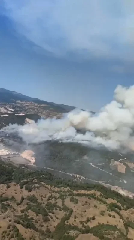 Sındırgı'daki yangına 6 uçak ve 6 helikopterle müdahale