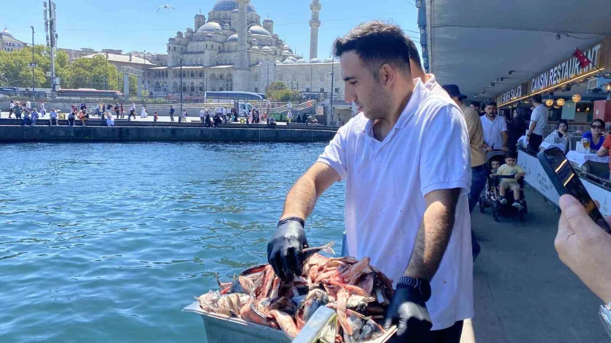 Eminönü'nde dev orkinoslar turistlerin ilgi odağı oldu
