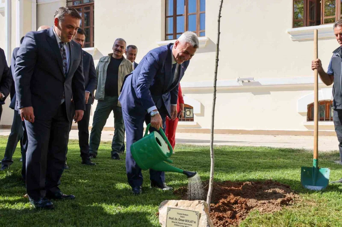 Ömer Bolat Bilecik Valiliği'nde çınar fidanı dikti