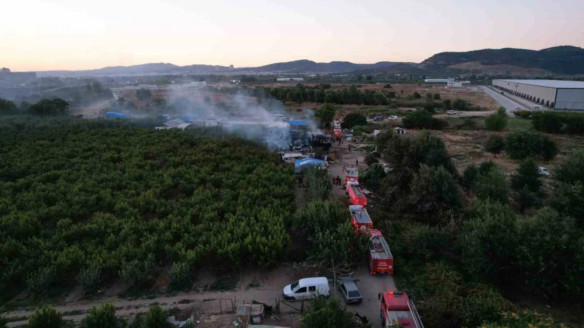 Bursa'da çiftlik yangını: Samanlık alev alev yandı