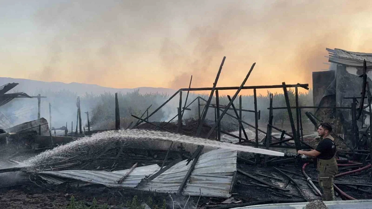 Bursa'da çiftlik yangını: Samanlık alev alev yandı