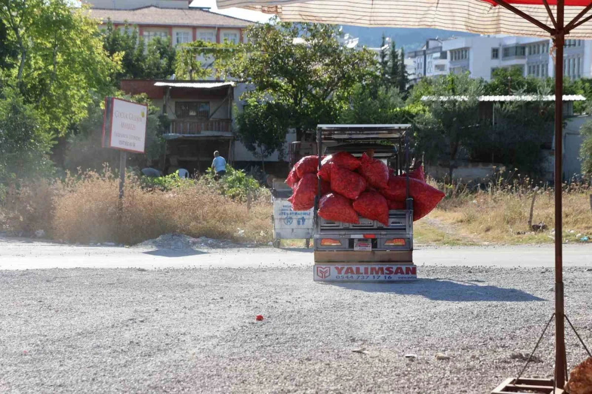 Kozan'da salçalık biber mesaisi başladı: Toroslar yük taşıdı