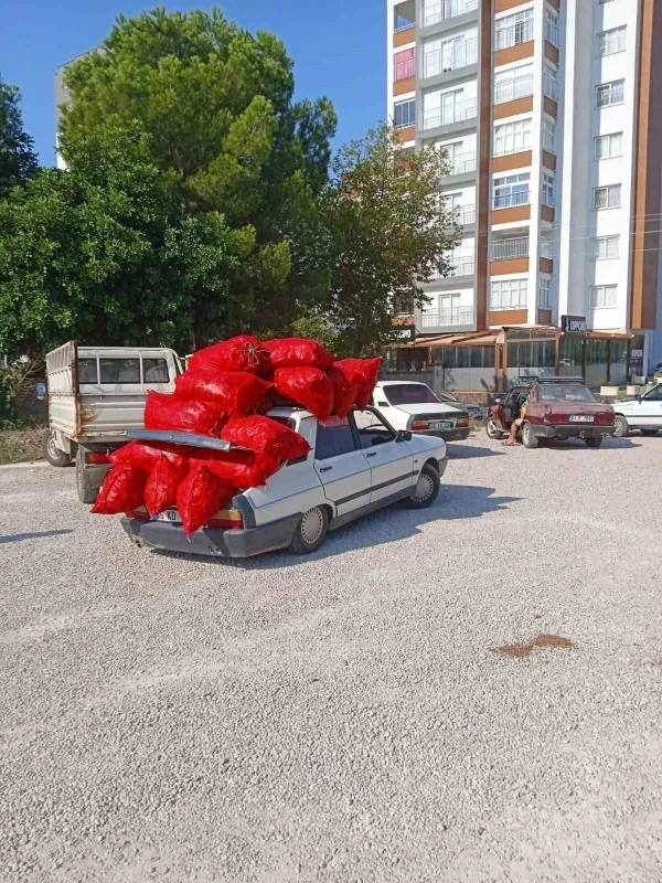 Kozan'da salçalık biber mesaisi başladı: Toroslar yük taşıdı