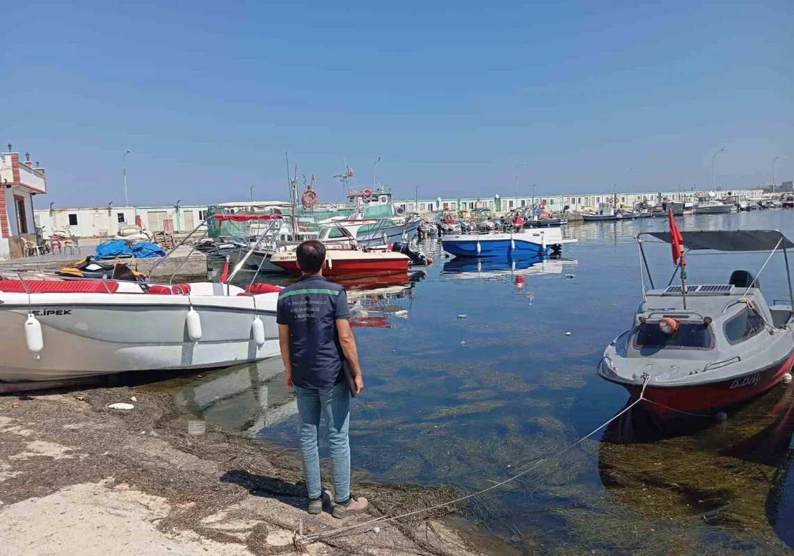 Çınarcık'ta denize girmek yasaklandı: Kirlilik ve ceza