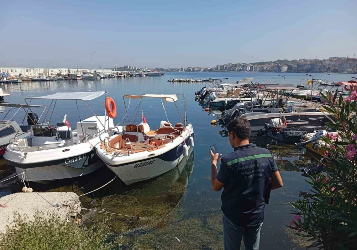 Çınarcık'ta denize girmek yasaklandı: Kirlilik ve ceza
