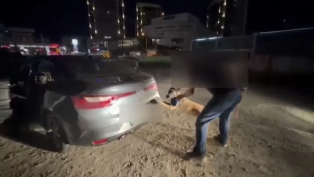 Bursa'da 45 kilo skunk ele geçirildi: Ev ve araçta arama