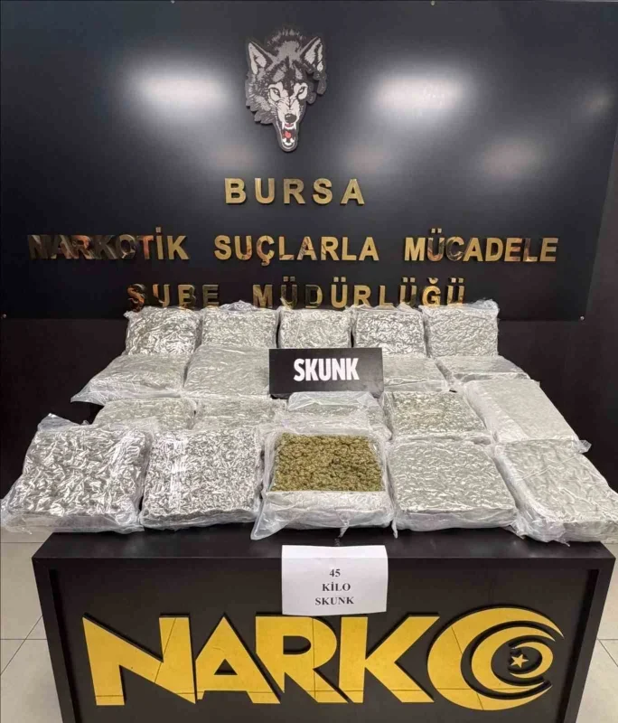 Bursa'da 45 kilo skunk ele geçirildi: Ev ve araçta arama