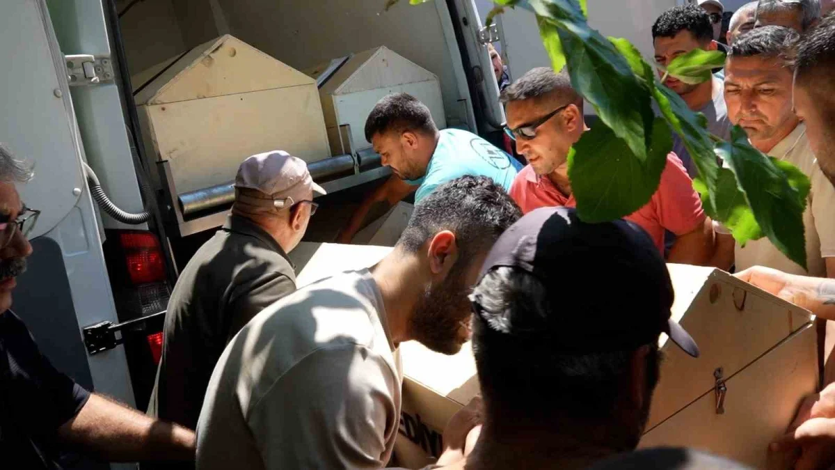 Düğün günü ölüm haberi geldi: Birsen Filiz Balıkesir'de öldü