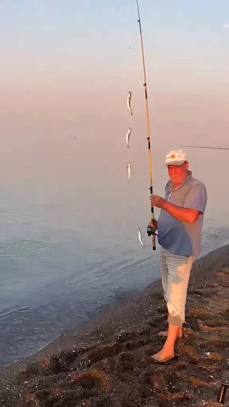Karacabey sahillerinde istavrit bereketi: Kovalar doldu