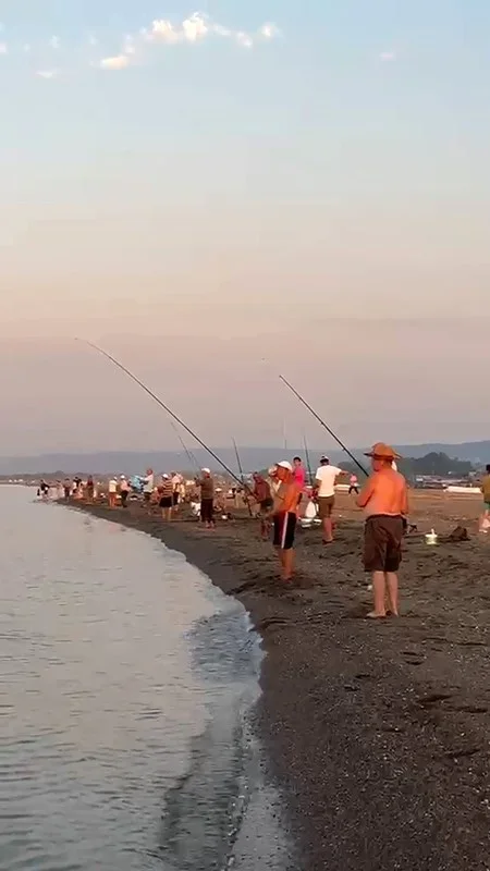 Karacabey sahillerinde istavrit bereketi: Kovalar doldu