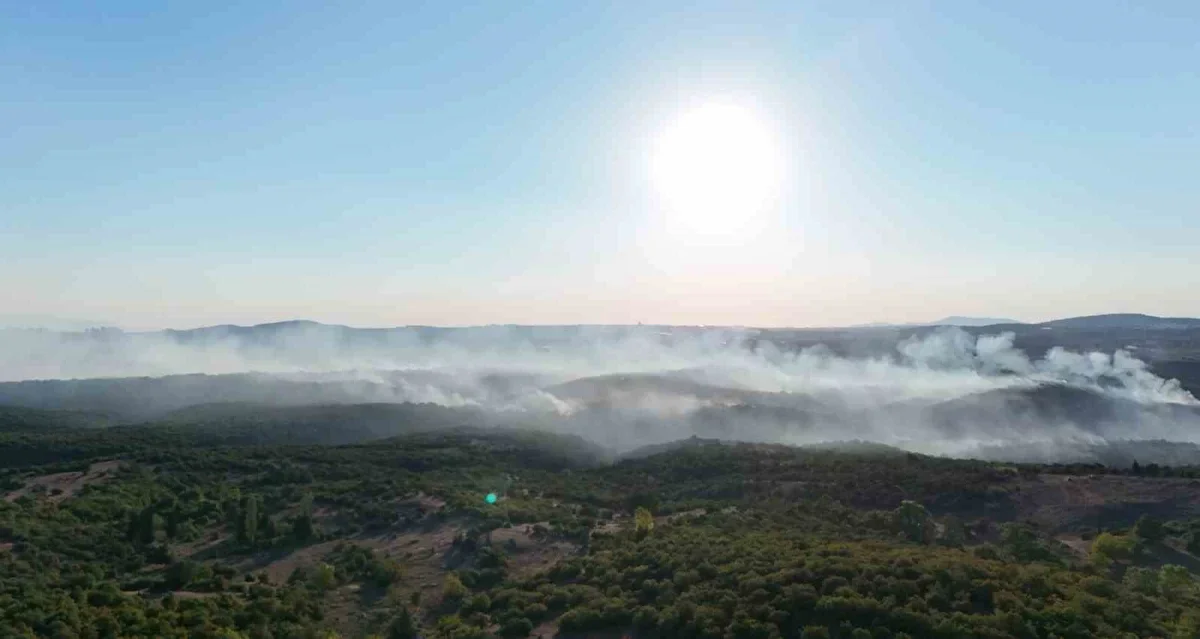 Gebze'deki orman yangını havadan görüntülendi