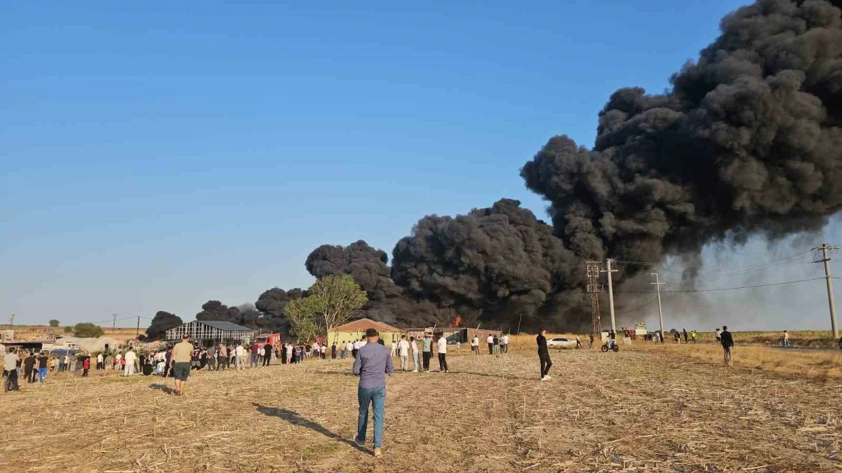 Tekirdağ Çerkezköy'de geri dönüşüm tesisinde yangın çıktı
