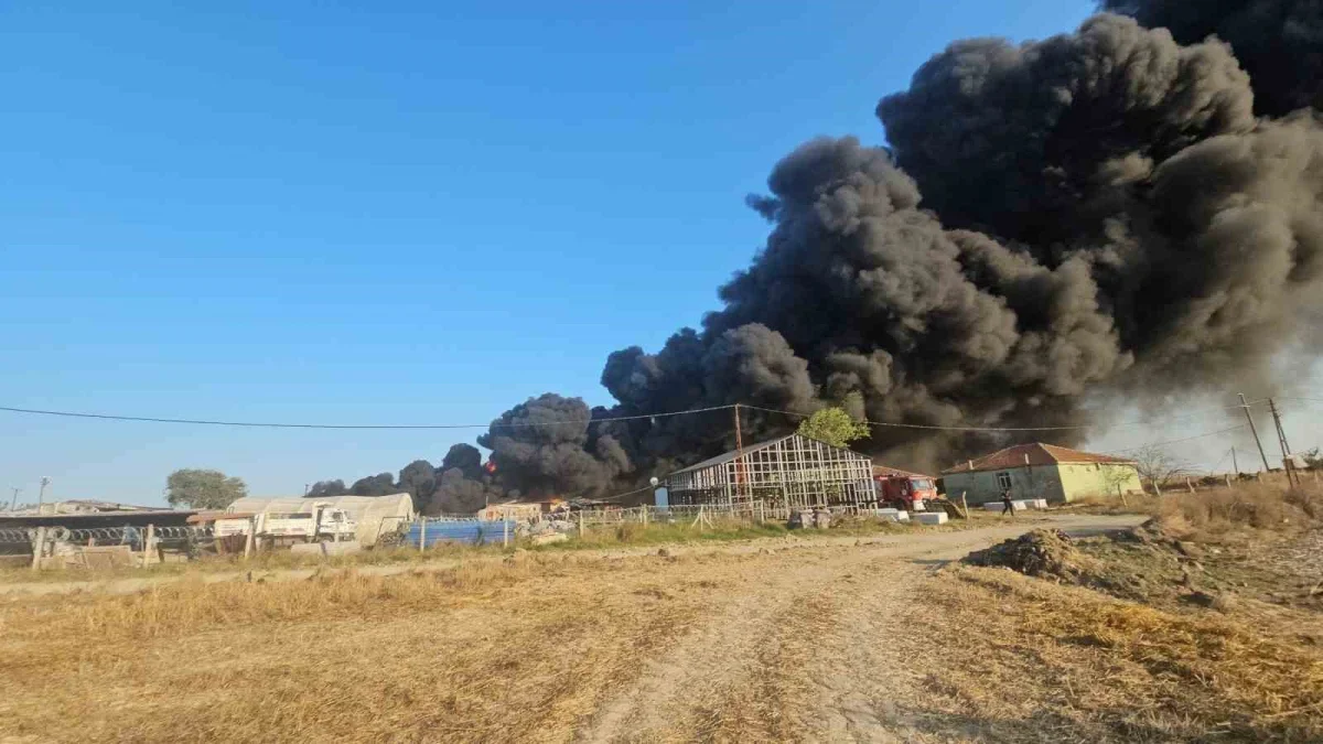 Tekirdağ Çerkezköy'de geri dönüşüm tesisinde yangın çıktı