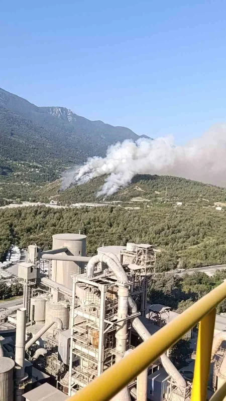 Bursa Kestel'de orman yangınına havadan müdahale sürüyor