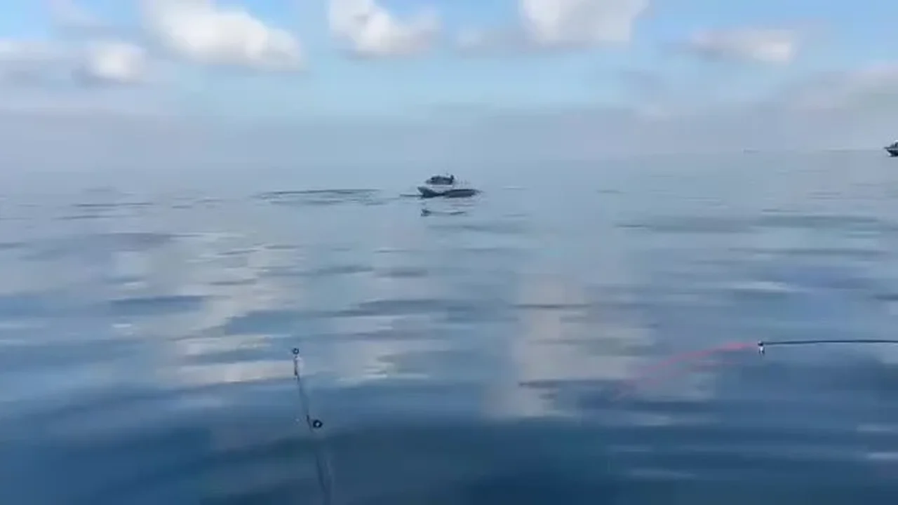 Yeniköy açıklarında yunuslar balıkçı teknelerine eşlik etti