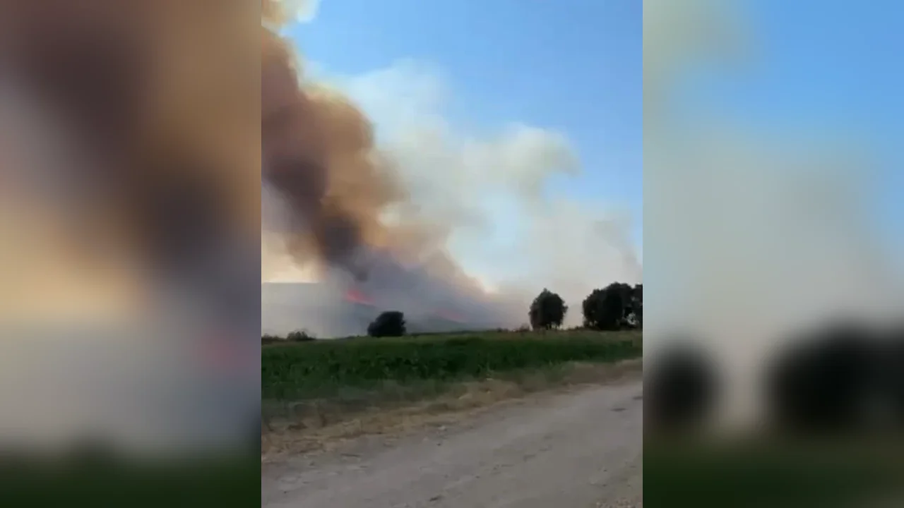Bursa Nilüfer'de orman yangınına havadan ve karadan müdahale