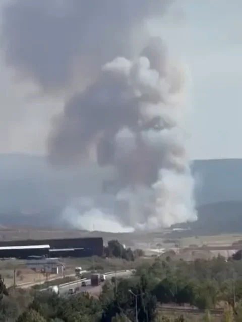 Bursa Nilüfer'de orman yangınına havadan ve karadan müdahale