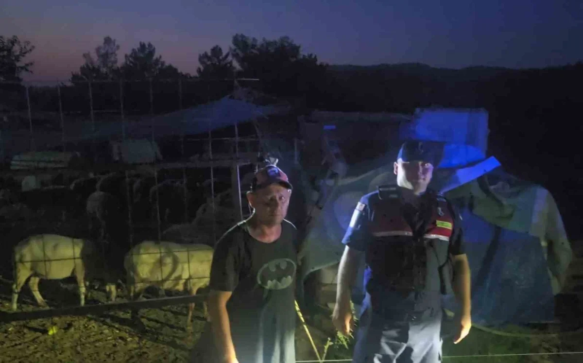 İnegöl'de firar eden 50 koyun jandarma dronuyla bulundu