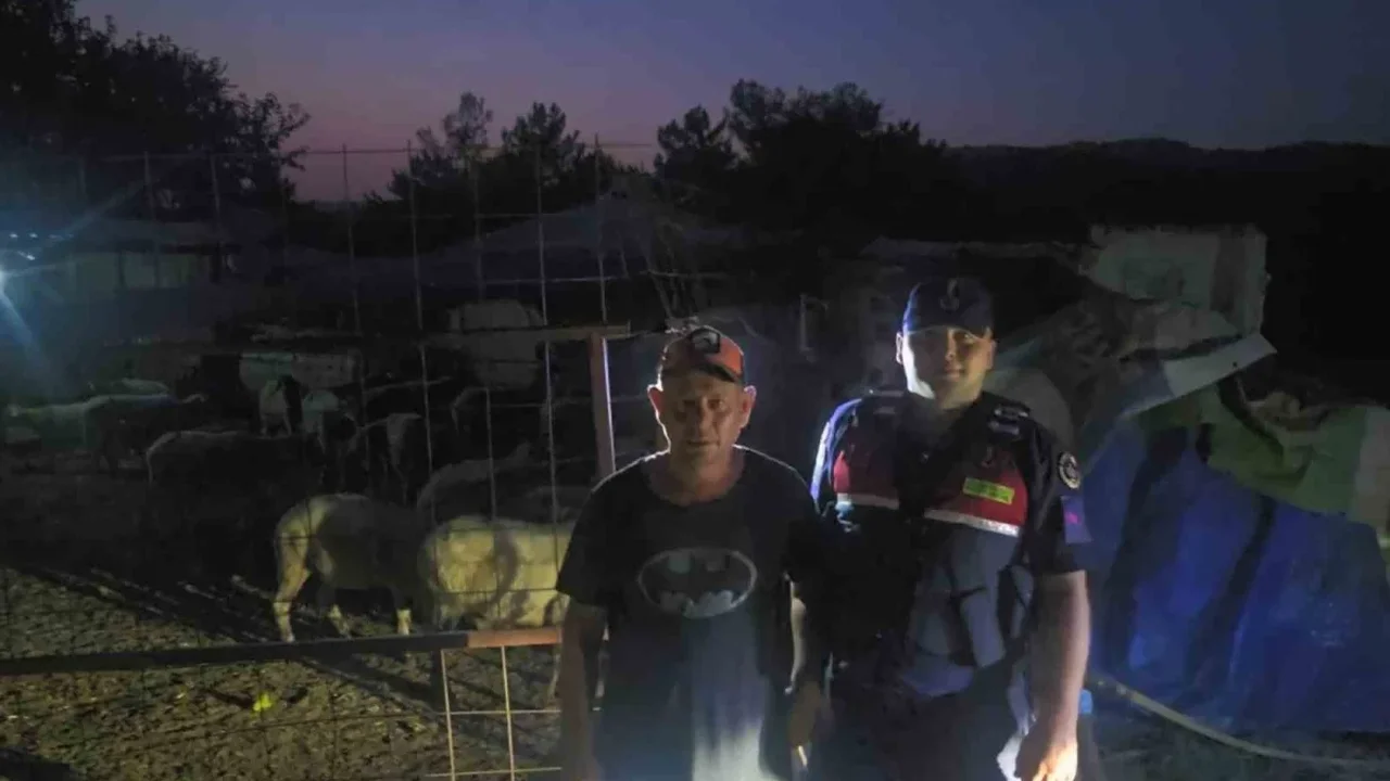 İnegöl'de firar eden 50 koyun jandarma dronuyla bulundu