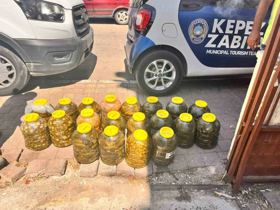 Antalya Kepez'de son kullanma tarihi geçmiş 152 kilo ete el konuldu
