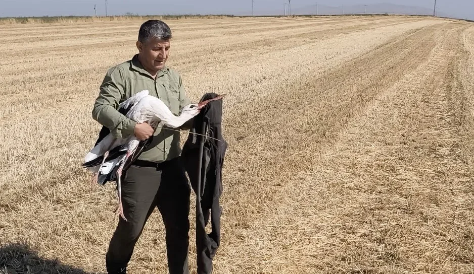 Elektrik akımına kapılan eşinin başında 5 gün bekledi