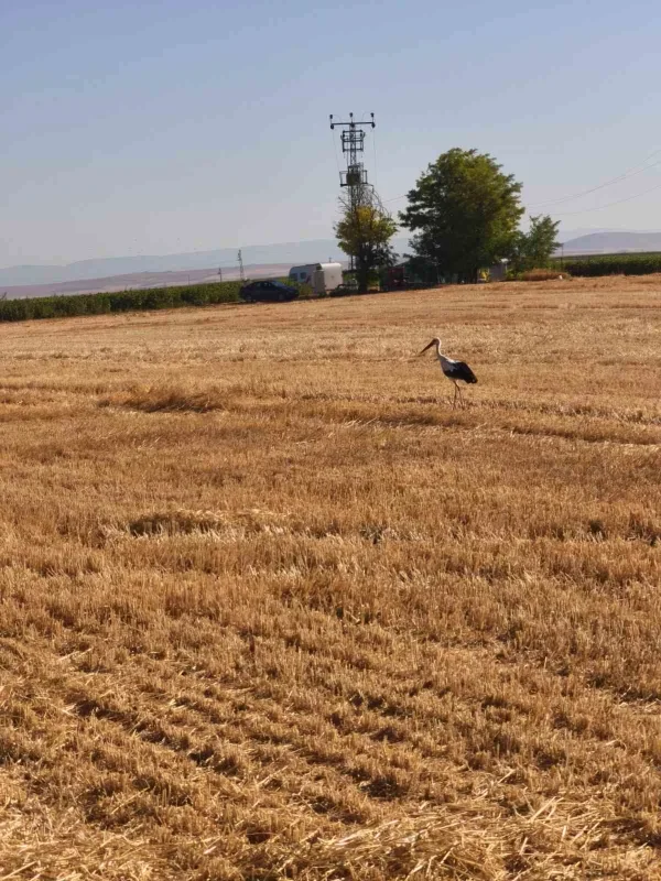 Elektrik akımına kapılan eşinin başında 5 gün bekledi