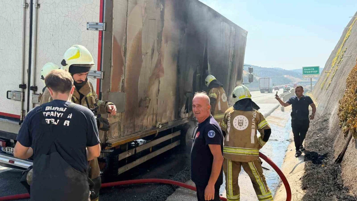 Canlı hayvan nakil aracı otoyolda alev aldı, facia önlendi
