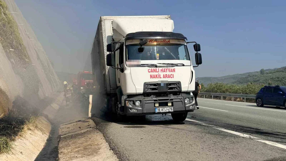 Canlı hayvan nakil aracı otoyolda alev aldı, facia önlendi