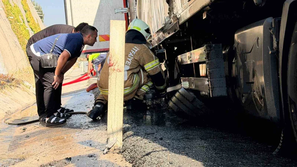 Canlı hayvan nakil aracı otoyolda alev aldı, facia önlendi