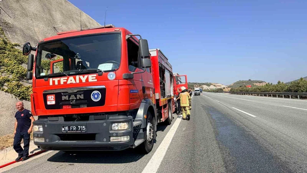 Canlı hayvan nakil aracı otoyolda alev aldı, facia önlendi