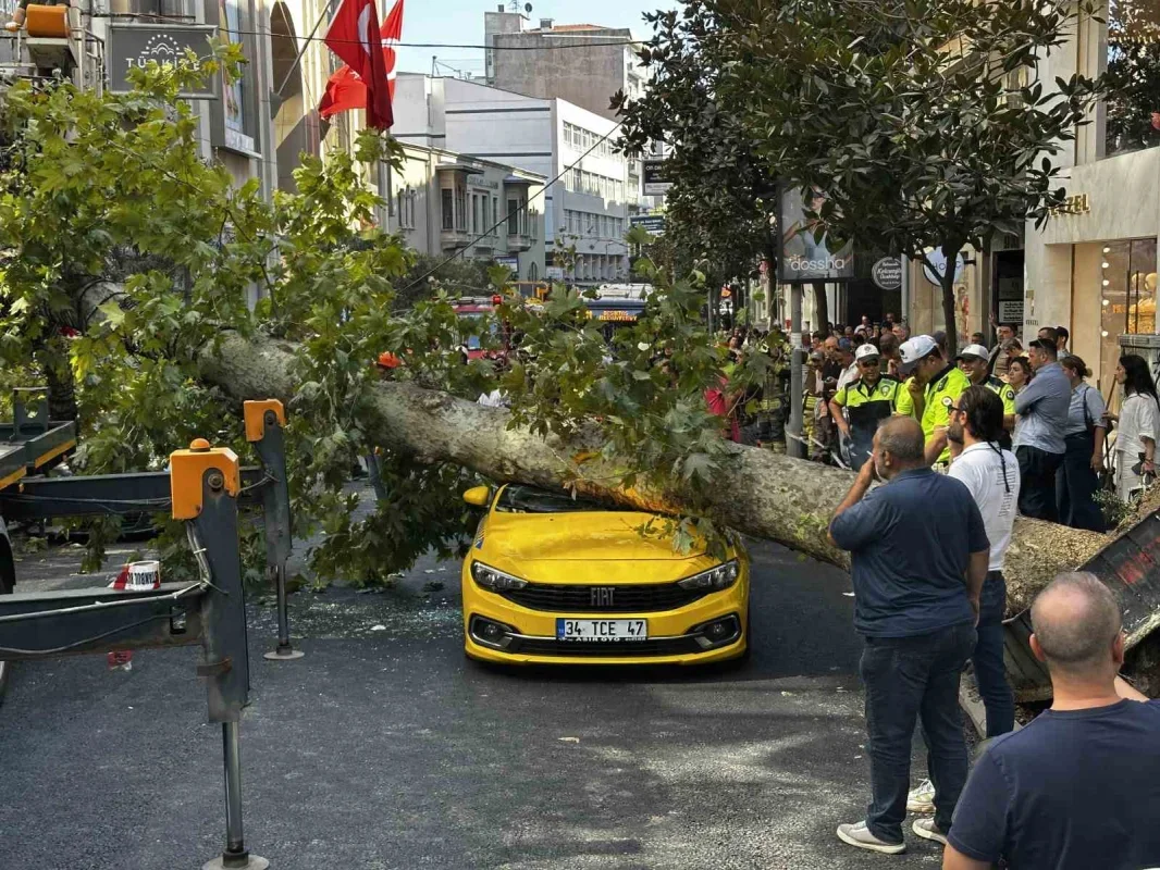 Şişli'de çınar ağacı 2 aracın üzerine devrildi