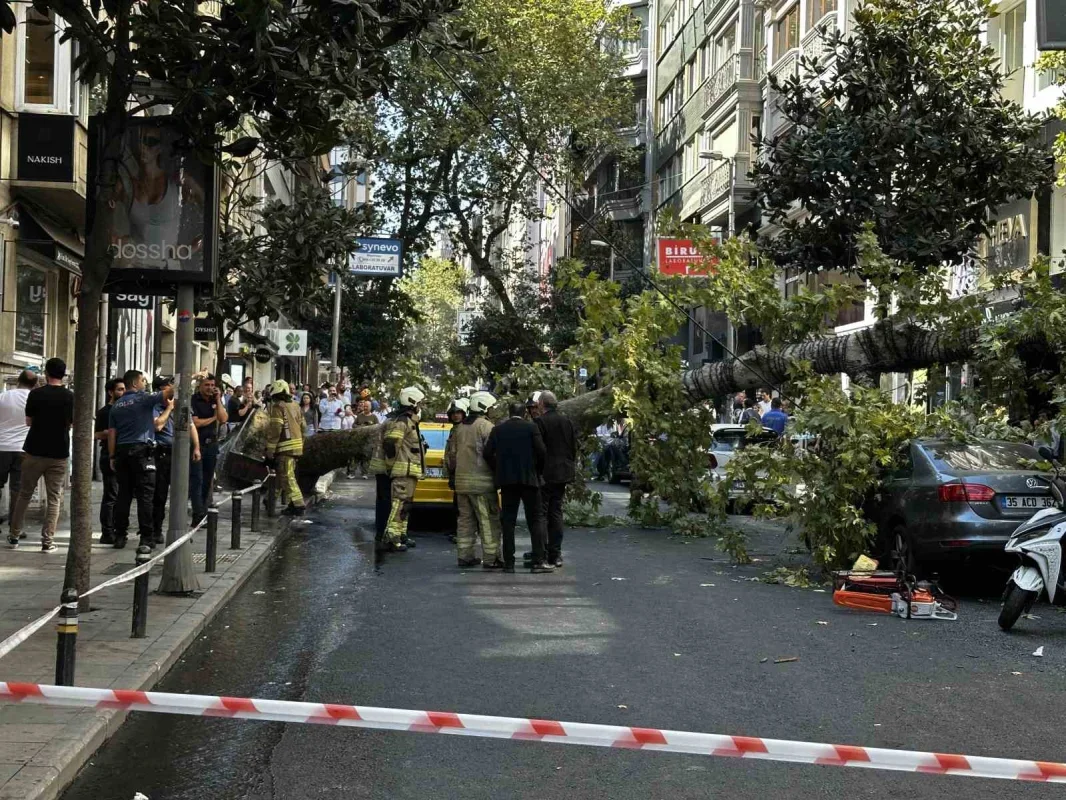 Şişli'de çınar ağacı 2 aracın üzerine devrildi